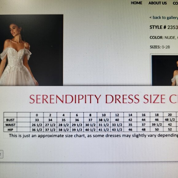 NWT~$1850~STELLA COUTURE~16/18~OFF WHITE EMBROIDERED BEADED LACE WEDDING DRESS - Picture 16 of 16